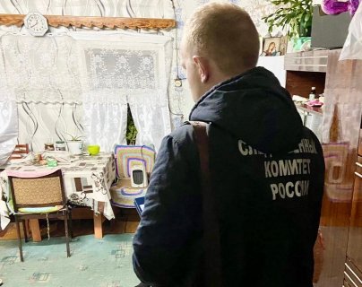 Житель Алнашского района осужден за причинение супруге тяжкого вреда здоровью, повлекшего смерть